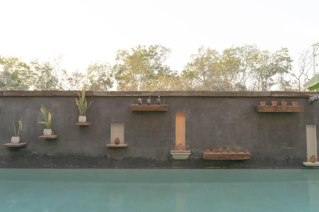 Lujoso Estudio Con Acceso A La Piscina - La Veleta Tulum Lägenhet